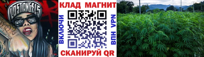 Купить наркотики сайты Ярославль АМФ КОКАИН Альфа ПВП Меф мяу мяу ГАШИШ МАРИХУАНА