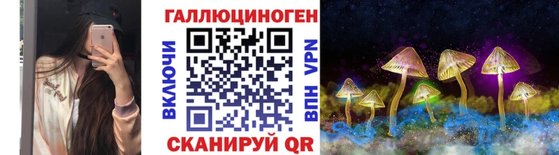 Псилоцибиновые грибы Psilocybe Ярославль