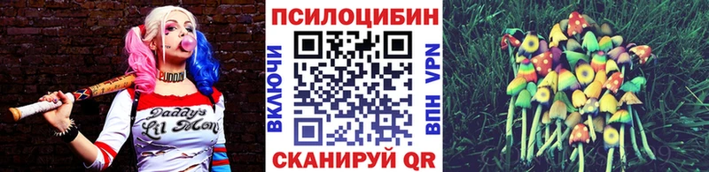 Галлюциногенные грибы MAGIC MUSHROOMS Ярославль