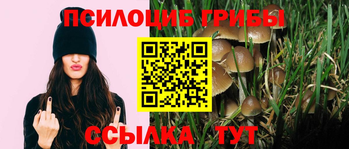 Галлюциногенные грибы Cubensis  Вход с VPN  Ярославль 
