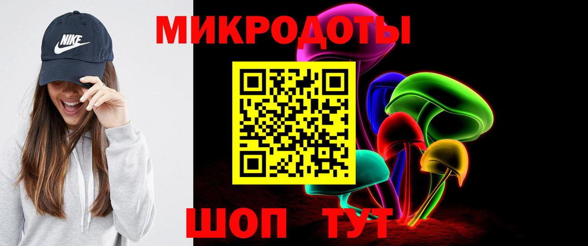 Меф Ярославль